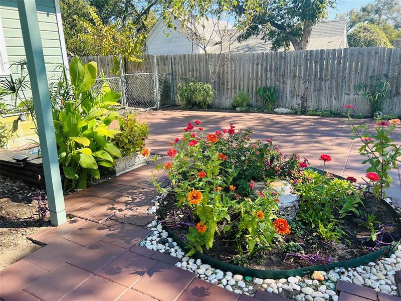 View of patio