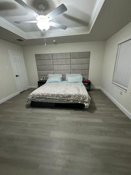 Bedroom featuring ceiling fan, a tray ceiling, and dark hardwood / wood-style floors