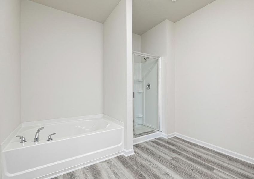 The master bathroom includes a walk-in shower, bathtub and vanity area
