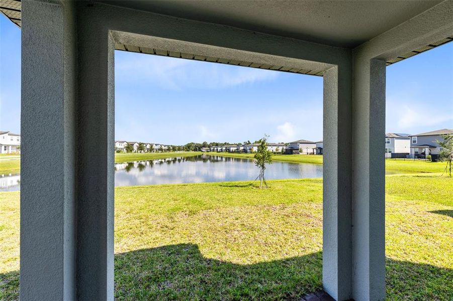 Backyard view