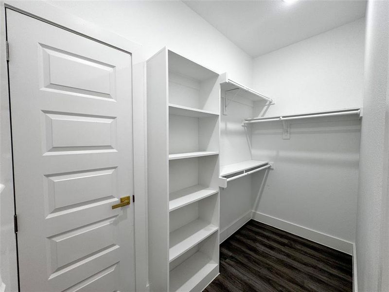 Spacious closet featuring dark hardwood / wood-style flooring