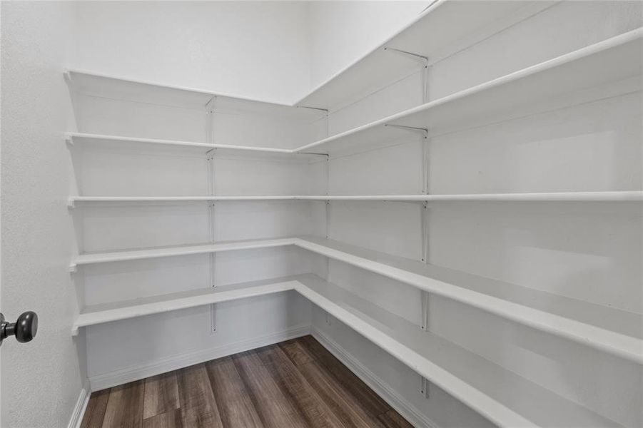 Large sized pantry in the kitchen.