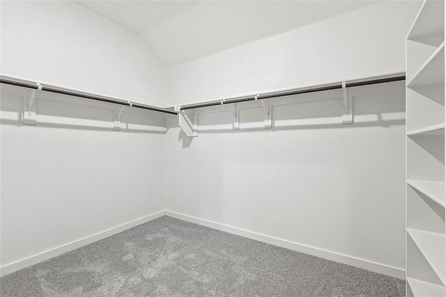 Spacious closet with carpet floors and lofted ceiling