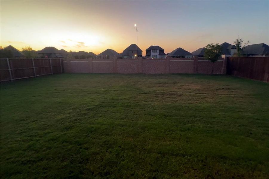 View of yard at dusk