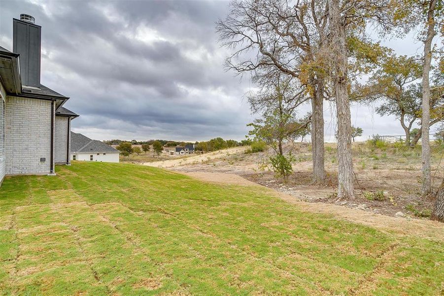 View of backyard with trees and elevation