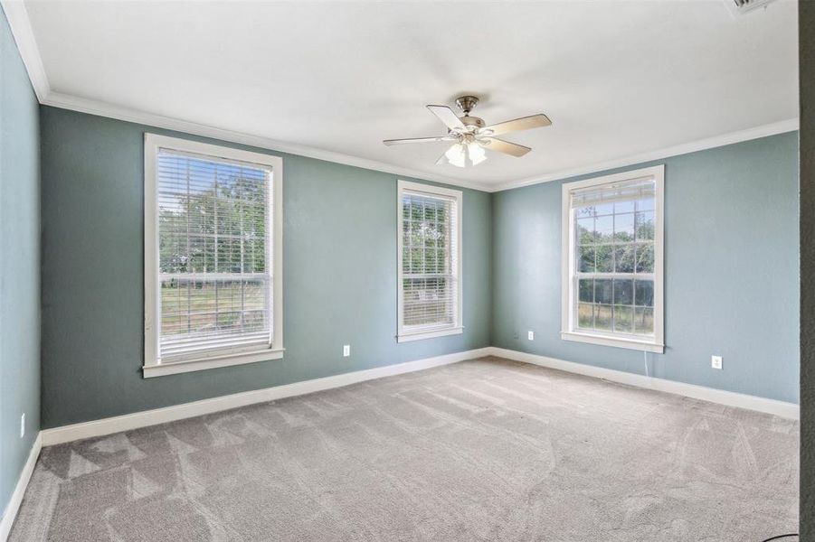 Carpeted with crown molding and ceiling fan