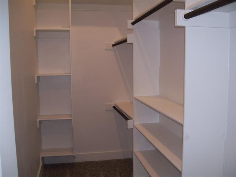 Walk in closet with dark colored carpet