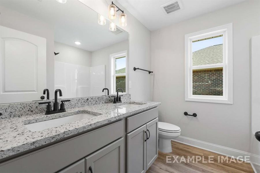 Bathroom with walk in shower, toilet, wood-type flooring, and vanity