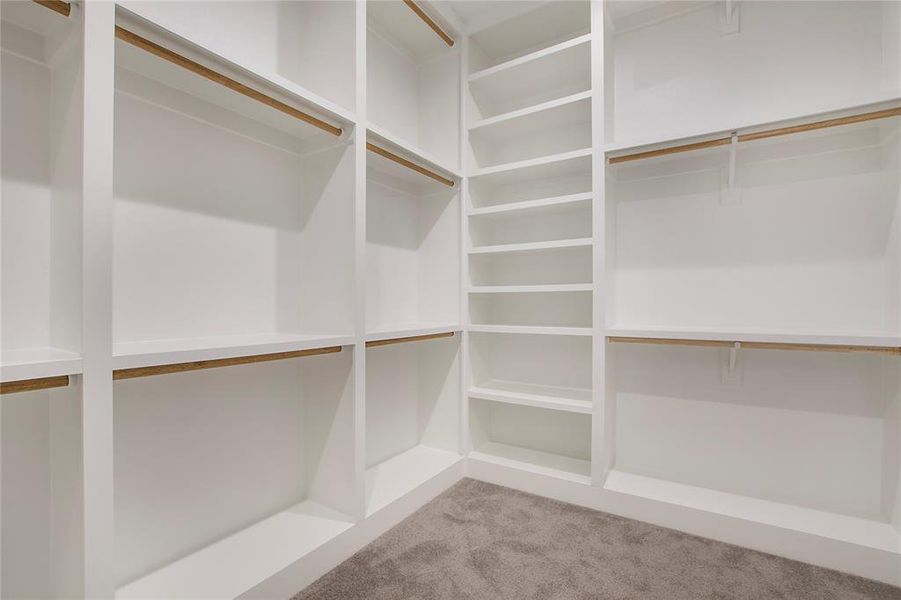 Spacious closet featuring light carpet