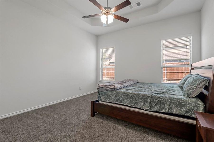 Carpeted bedroom with multiple windows, a tray ceiling, and ceiling fan