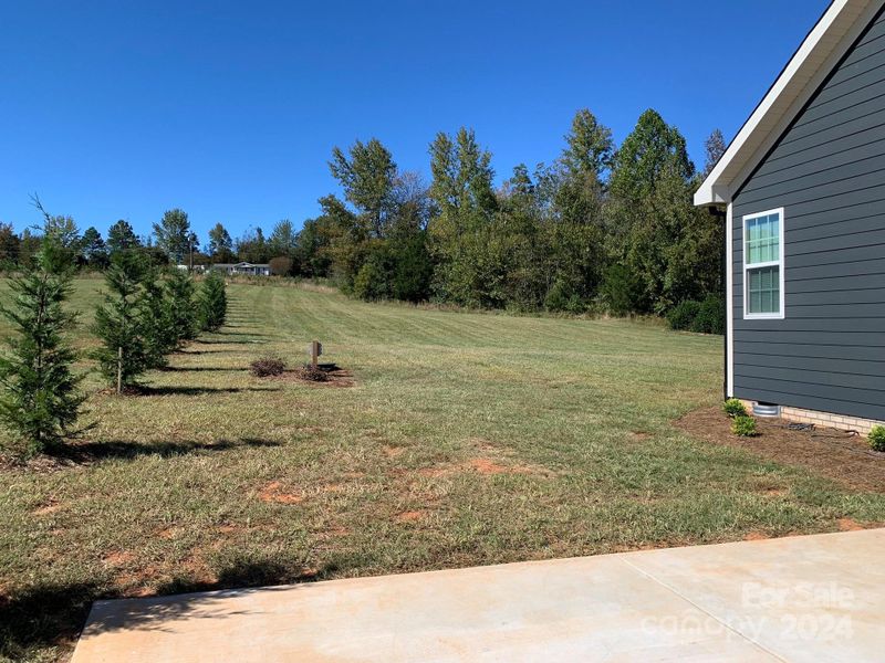 view from driveway of back yard