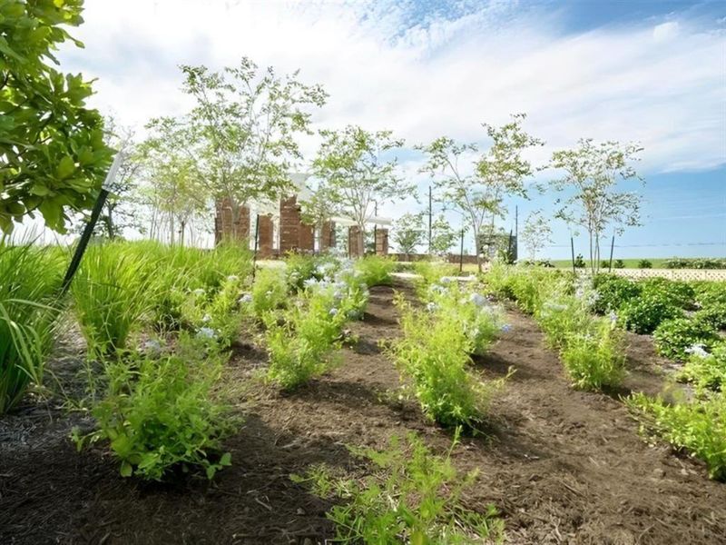 This colorful garden path at 1515 Carson Field Lane invites you to explore and unwind in a space filled with natural beauty.