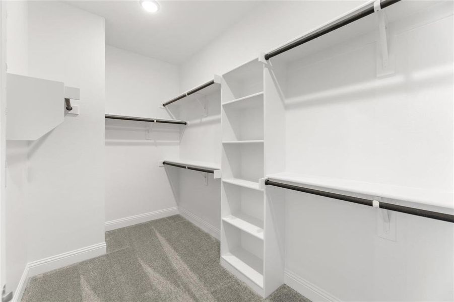 Walk in closet with light colored carpet