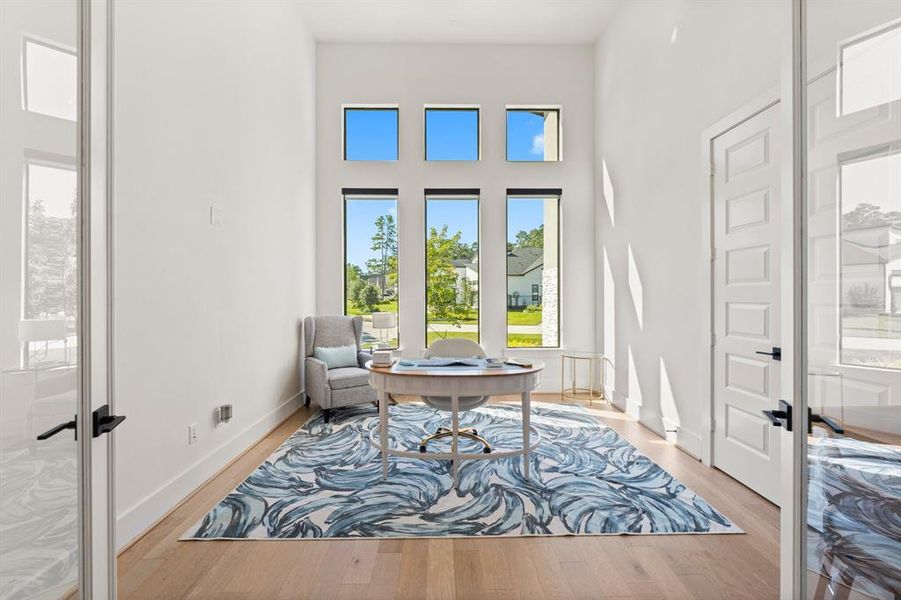 Elevated study with closet and great natural light!