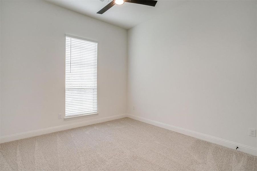 Empty room featuring carpet floors, ceiling fan, and plenty of natural light