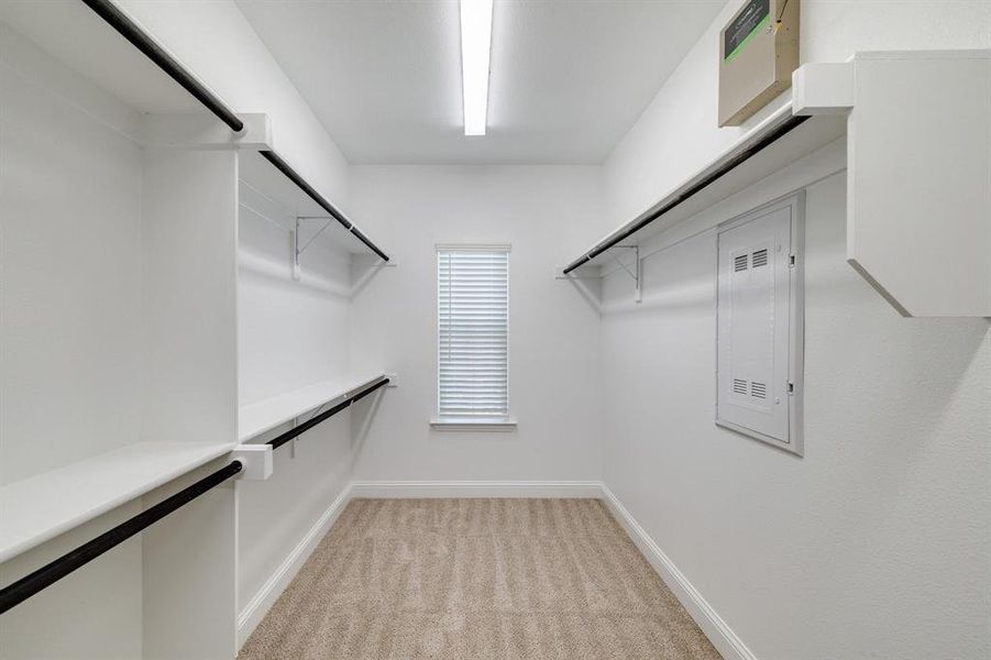 Spacious closet featuring light carpet