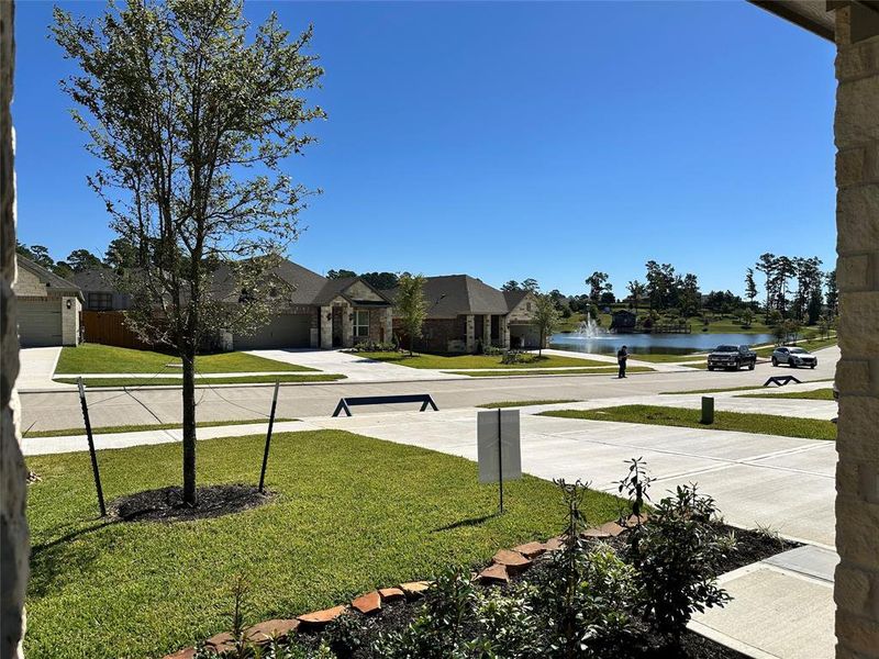 Beautifully landscaped front yard that has a great layout