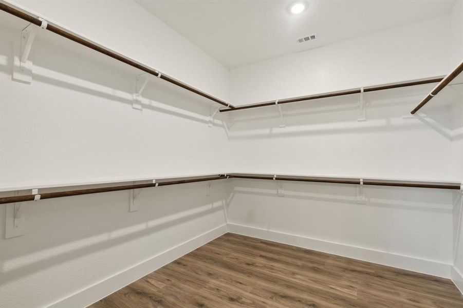 Spacious closet featuring wood-type flooring