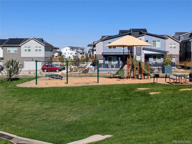 Neighborhood Playground steps away!