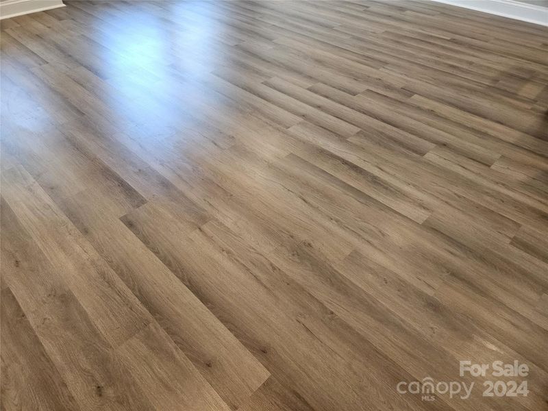 No carpet. Gorgeous vinyl plank throughout.