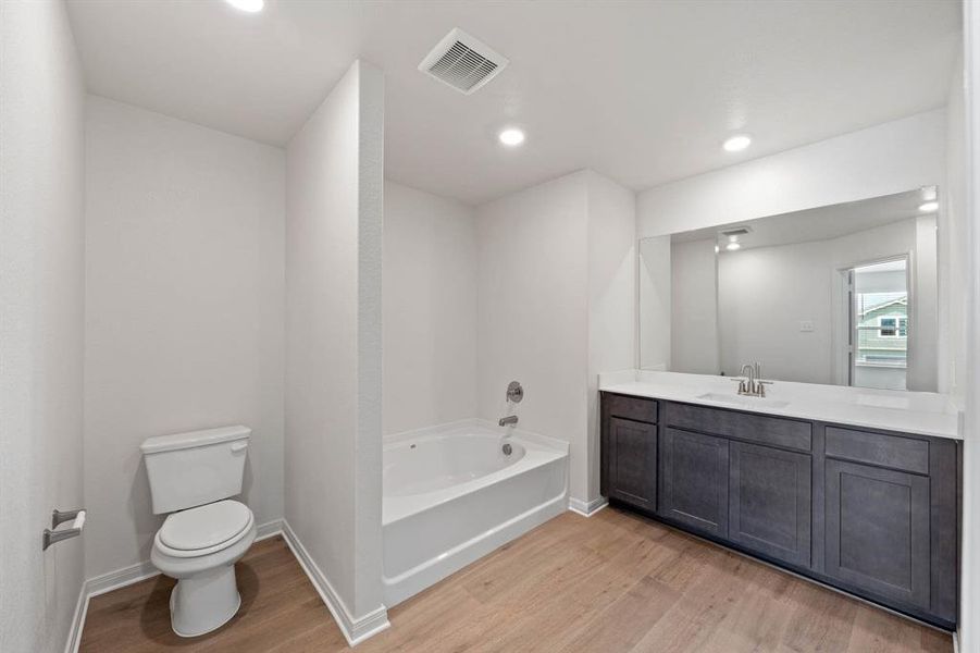 Bathroom with vanity, toilet, wood-style floors, and a washtub