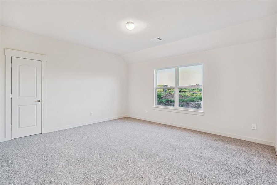 Unfurnished room with carpet floors and lofted ceiling