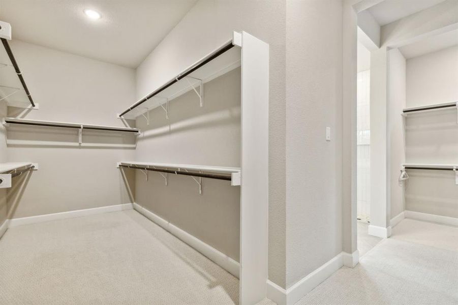 Spacious closet featuring carpet floors