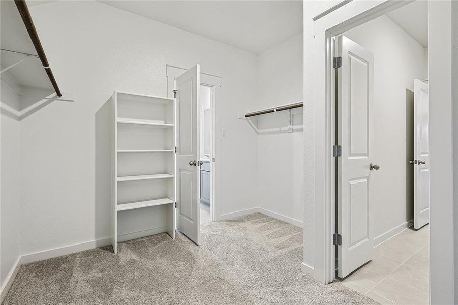 Walk in closet featuring light colored carpet