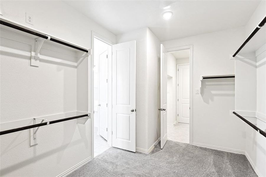 Spacious closet featuring light colored carpet