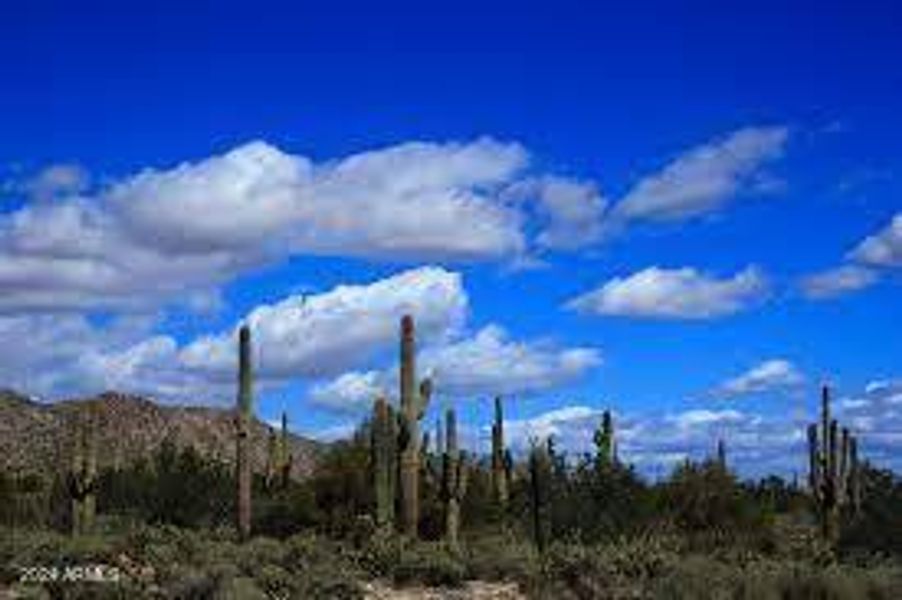 White Tank Mountains