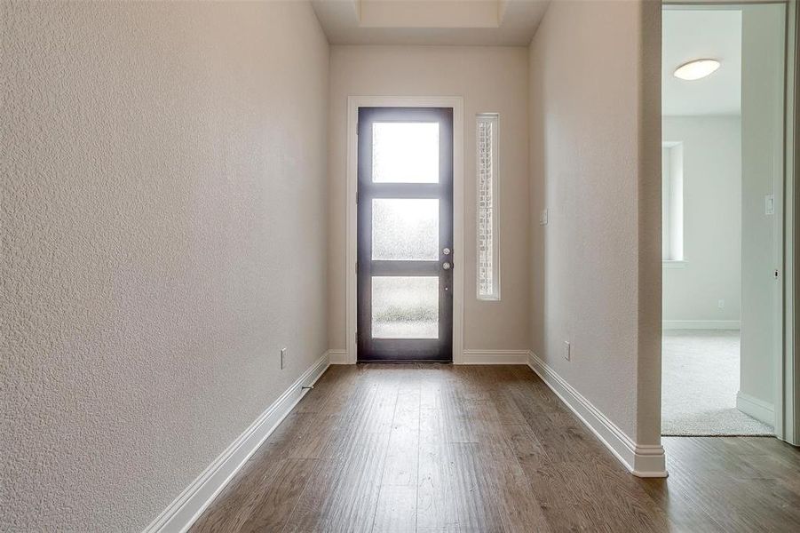 Foyer entrance featuring wood-type flooring