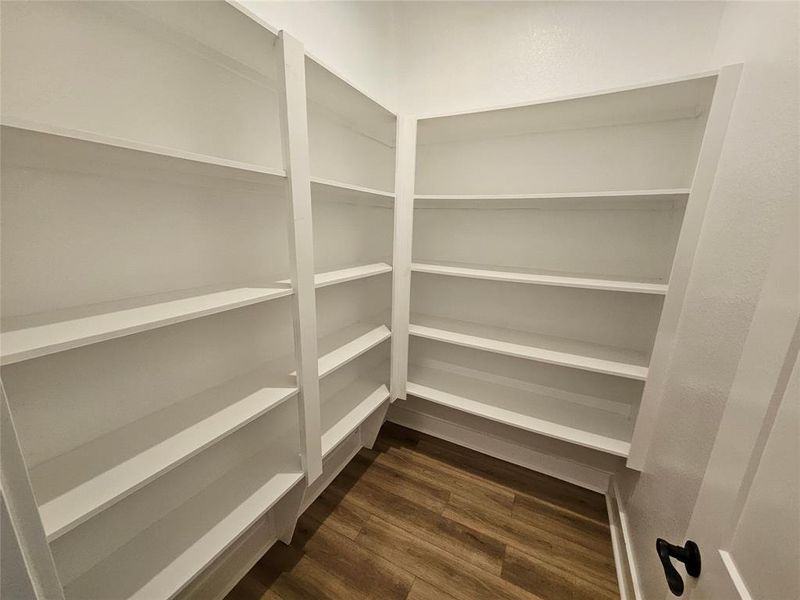 Huge walk-in pantry