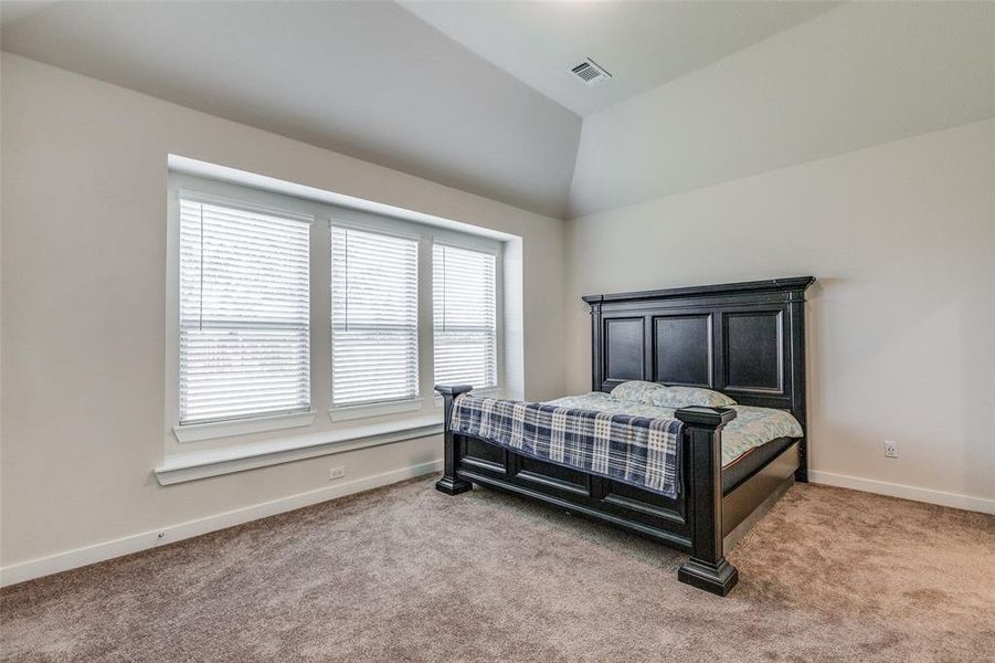 Carpeted bedroom with lofted ceiling