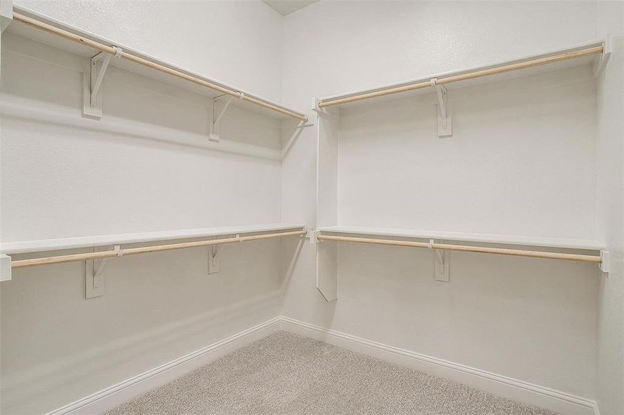 Walk in closet with carpet floors