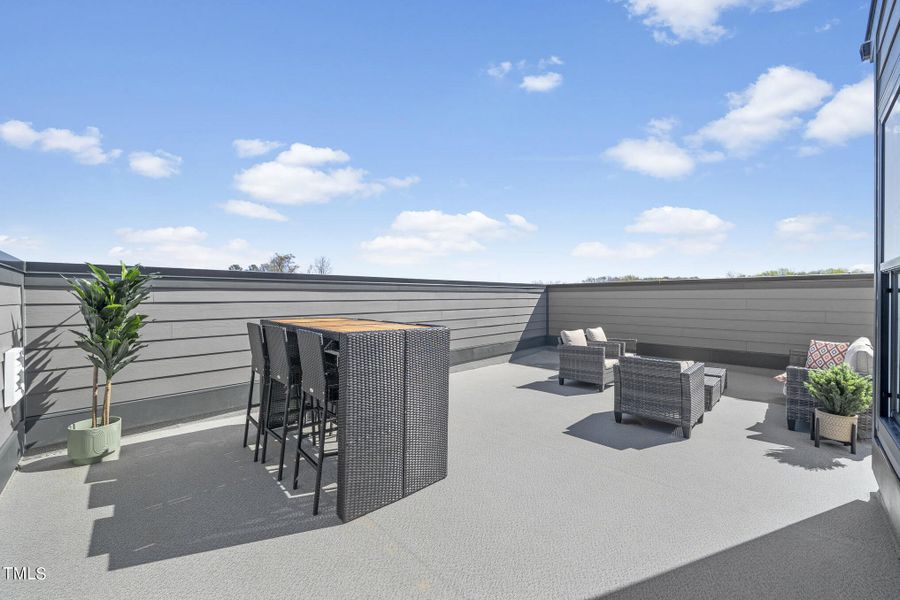 RIC_WLP_Julianne_Model_ rooftop terrace-