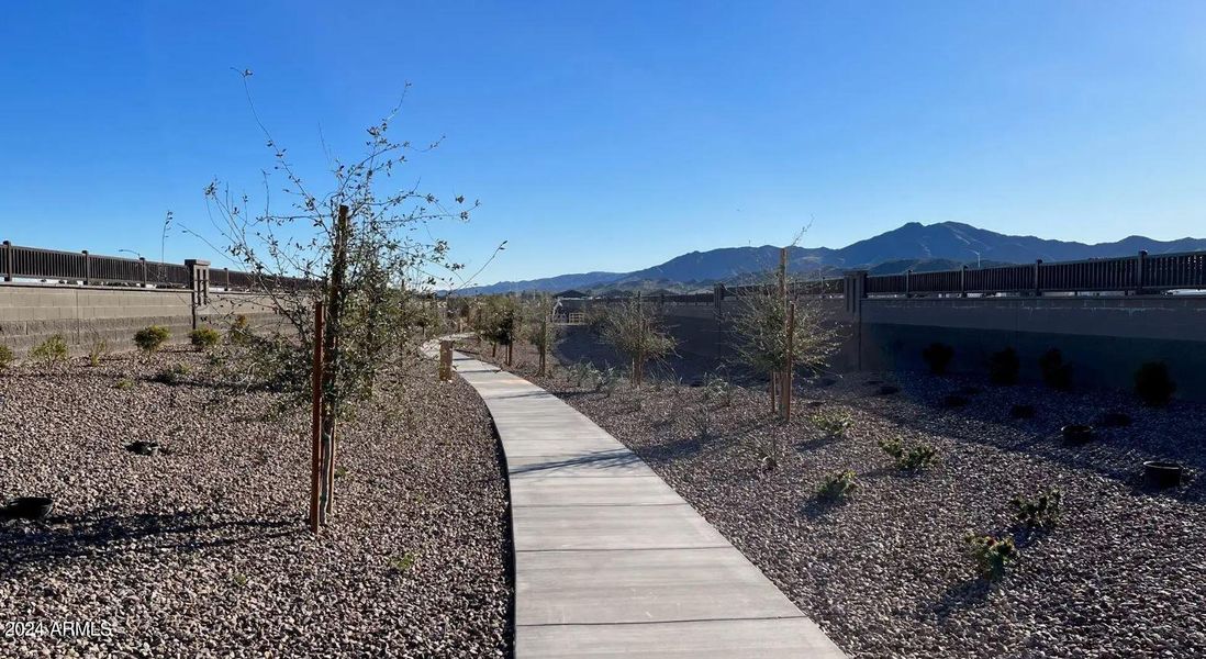 Estrella Crossing walking trail