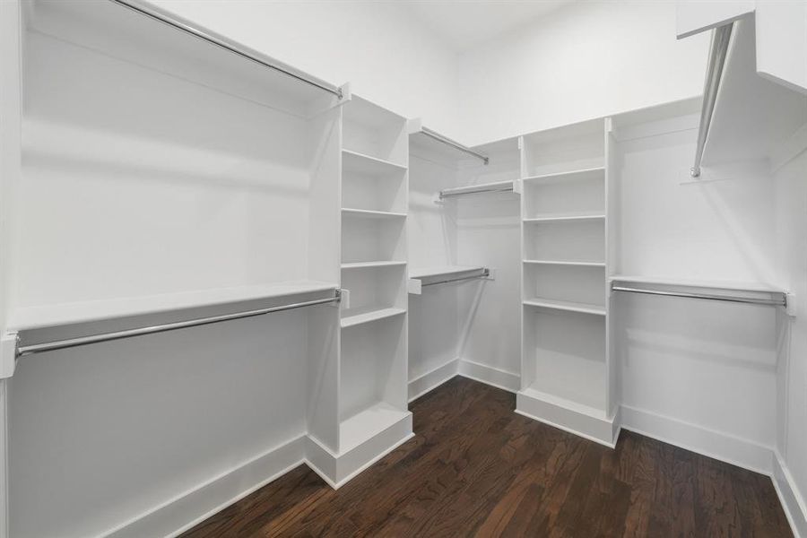 Spacious closet with dark wood-type flooring