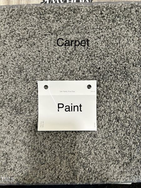 BS42 Carpet and paint