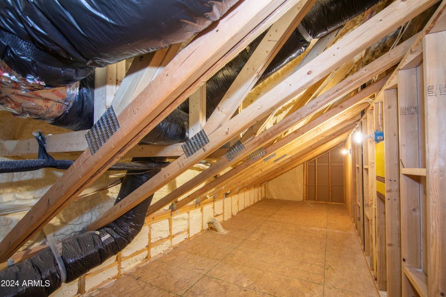 Extra Attic Space