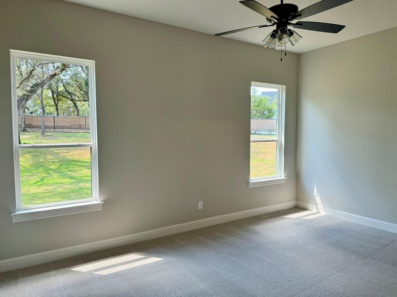 Empty room featuring carpet, ceiling fan, and plenty of natural light