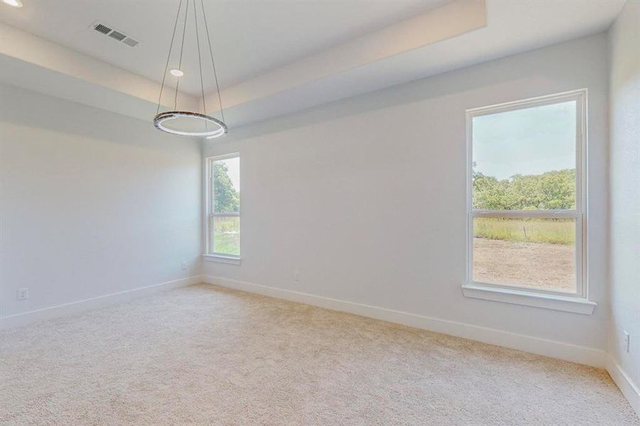 Main Bedroom Empty room with a raised ceiling and carpet