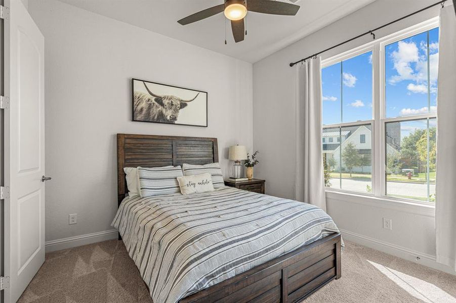 Carpeted bedroom featuring multiple windows and ceiling fan