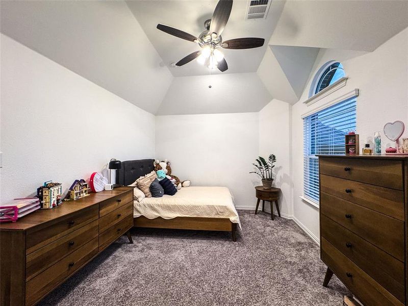 Carpeted bedroom with lofted ceiling and ceiling fan