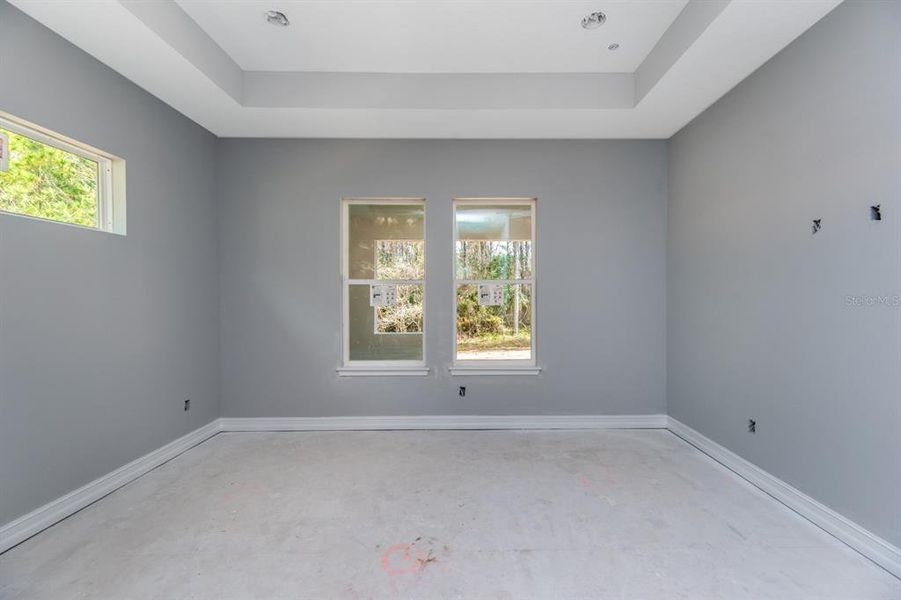 Tray ceiling in Master Bedroom