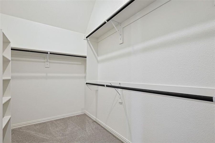 Spacious closet featuring carpet flooring