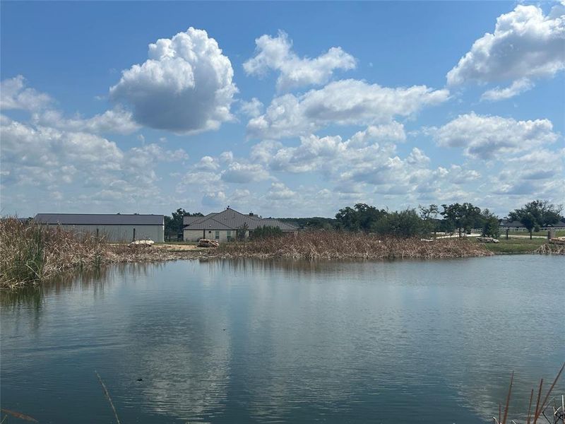 Neighborhood fishing pond just around the corner