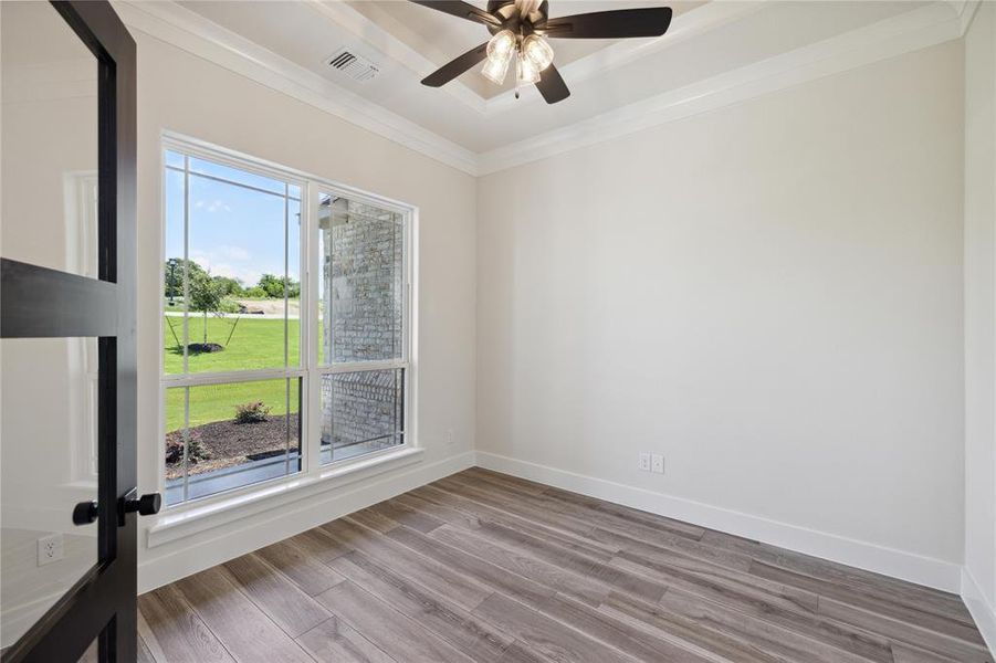 Spare room with crown molding, ceiling fan, and wood-type flooring