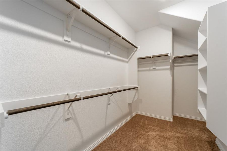 Spacious closet featuring carpet floors