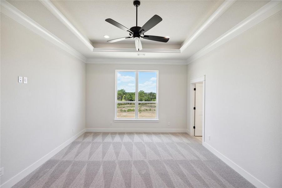 Carpeted empty room featuring ceiling fan and a tray ceiling