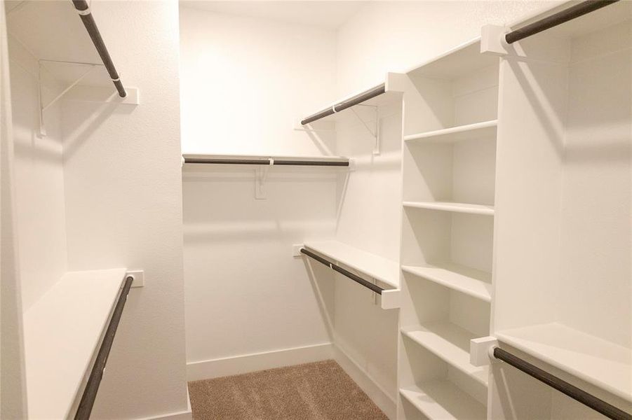 Walk in closet featuring carpet flooring